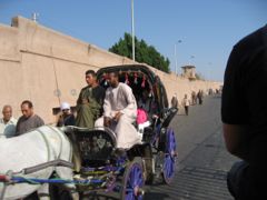 Edfu Caleche