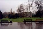 York Museum Gardens